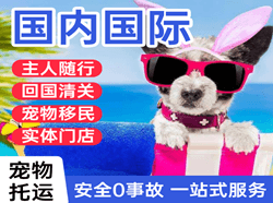 岳阳三荷机场快运国际宠物托运 【国